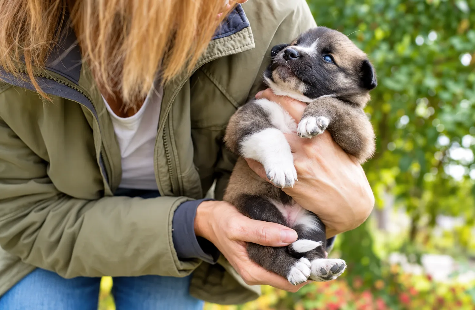 When Should You Spay or Neuter Your Puppy?