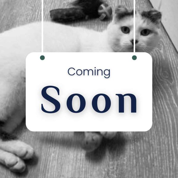 Coming Soon Thrive Vet Care, Airdrie Animal Clinic
