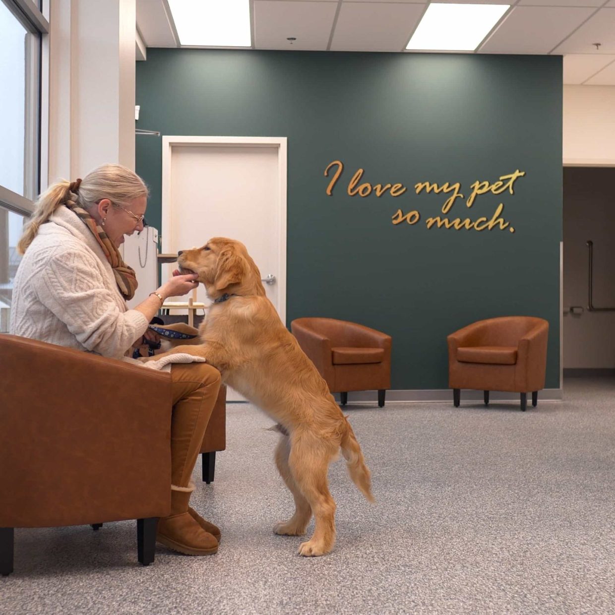 Airdrie Vet Clinic, Thrive Vet Care. Dogs and Cats Welcome
