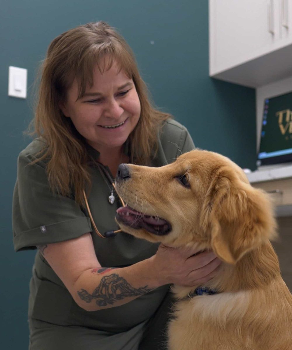 Wellness Care and Immunizations at Thrive Vet Care, Airdrie Vet Clinic