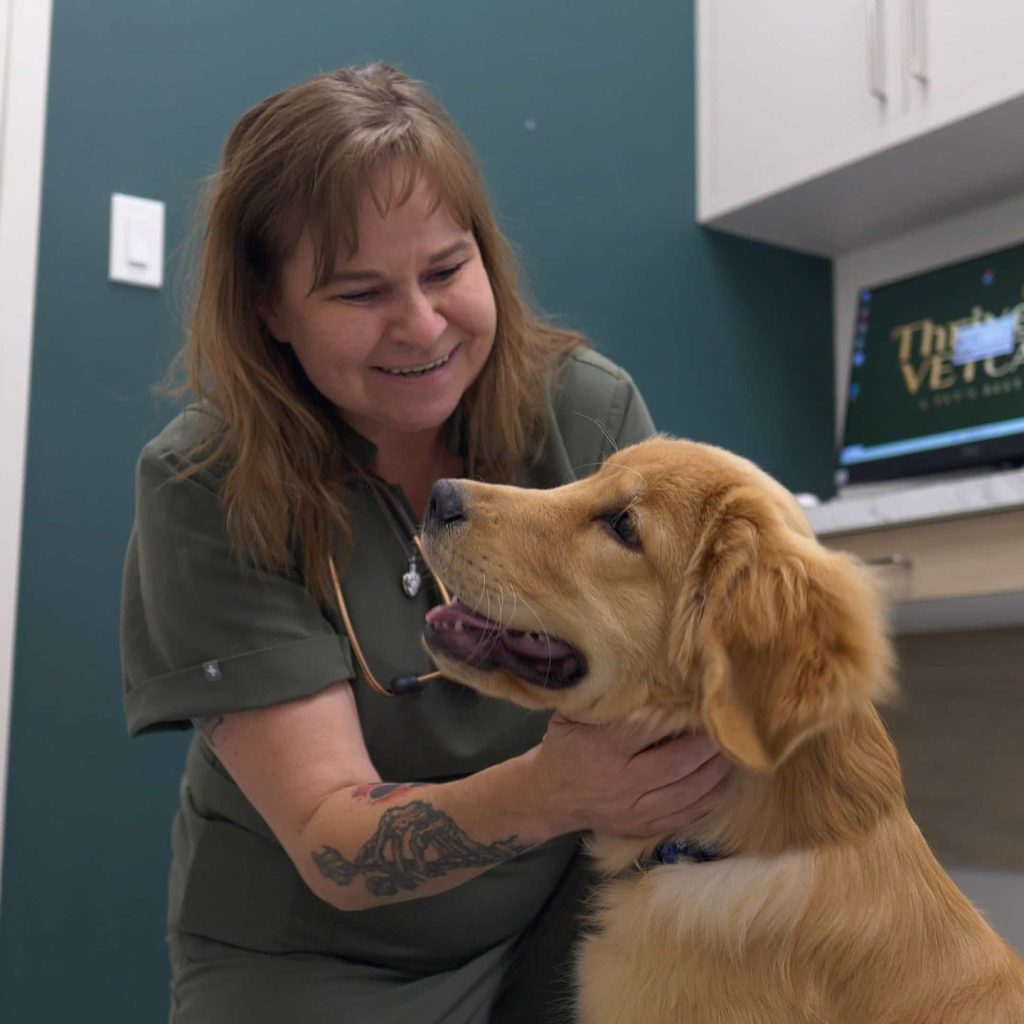 Wellness Care and Immunizations at Thrive Vet Care, Airdrie Vet Clinic