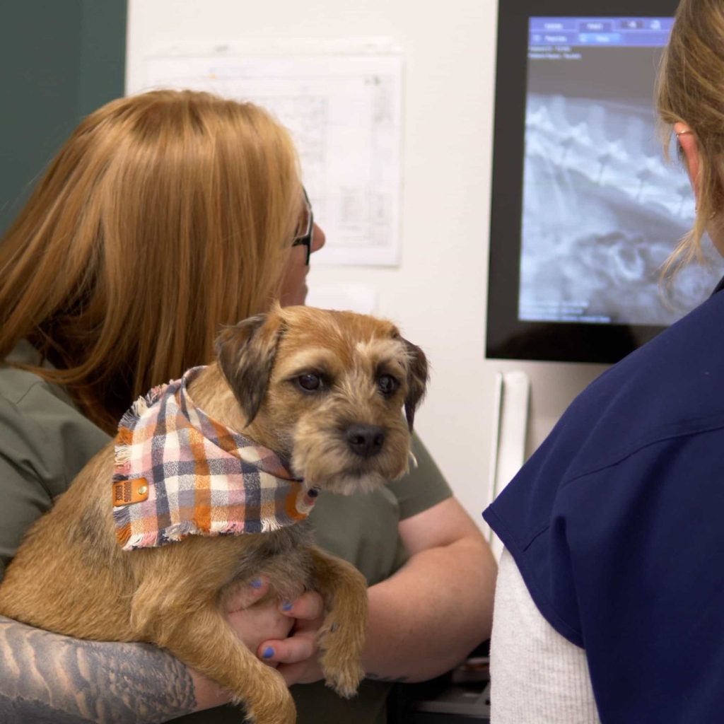 Senior Pet Care Thrive Vet Care, Airdrie Vet Clinic 44