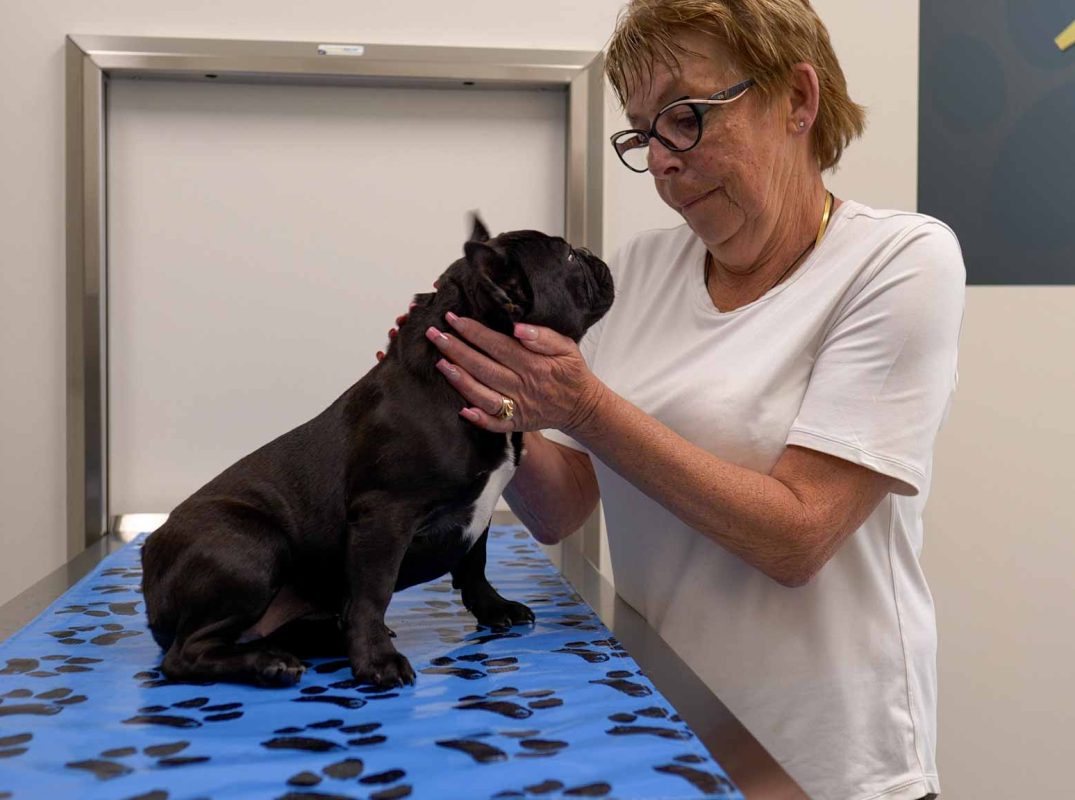 Thrive Vet Care, Airdrie Veterinarian 1
