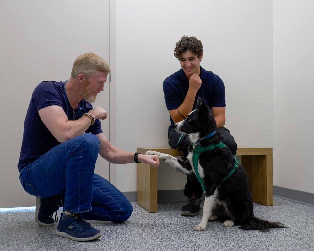Thrive Vet Care, Airdrie Veterinarian 12