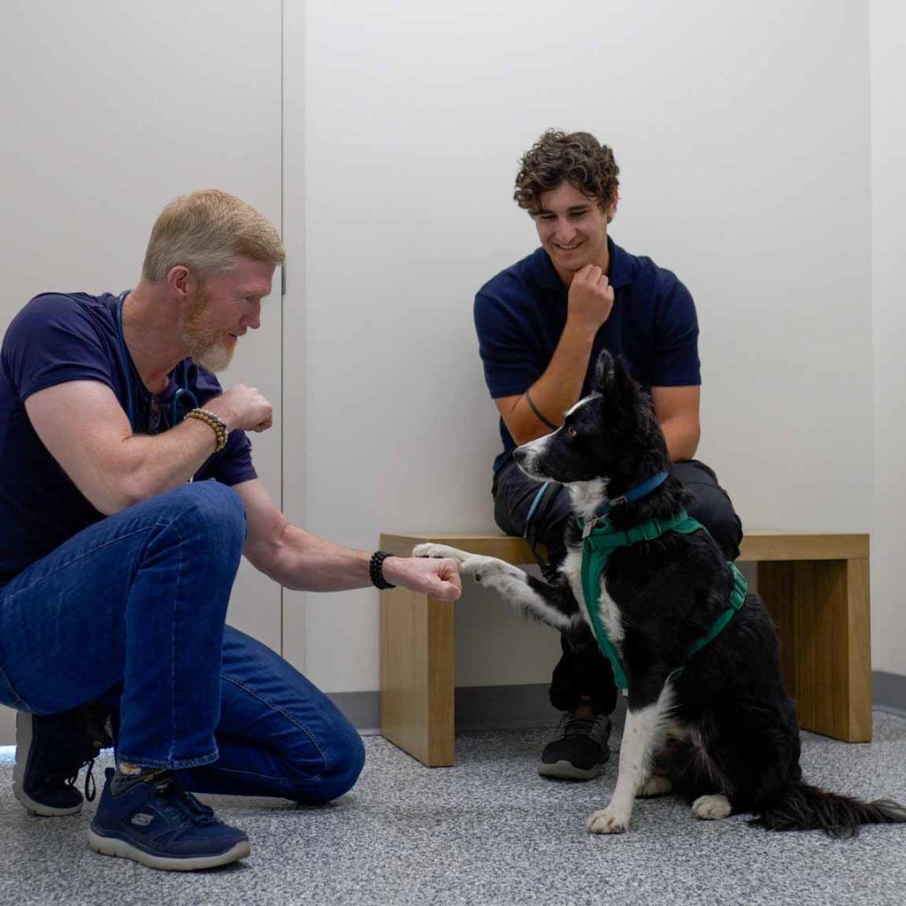Thrive Vet Care, Airdrie Veterinarian 12