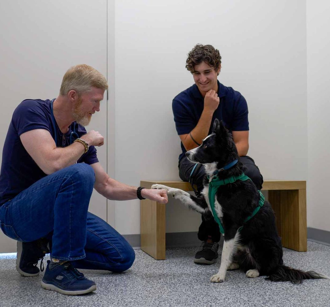 Thrive Vet Care, Airdrie Veterinarian 12