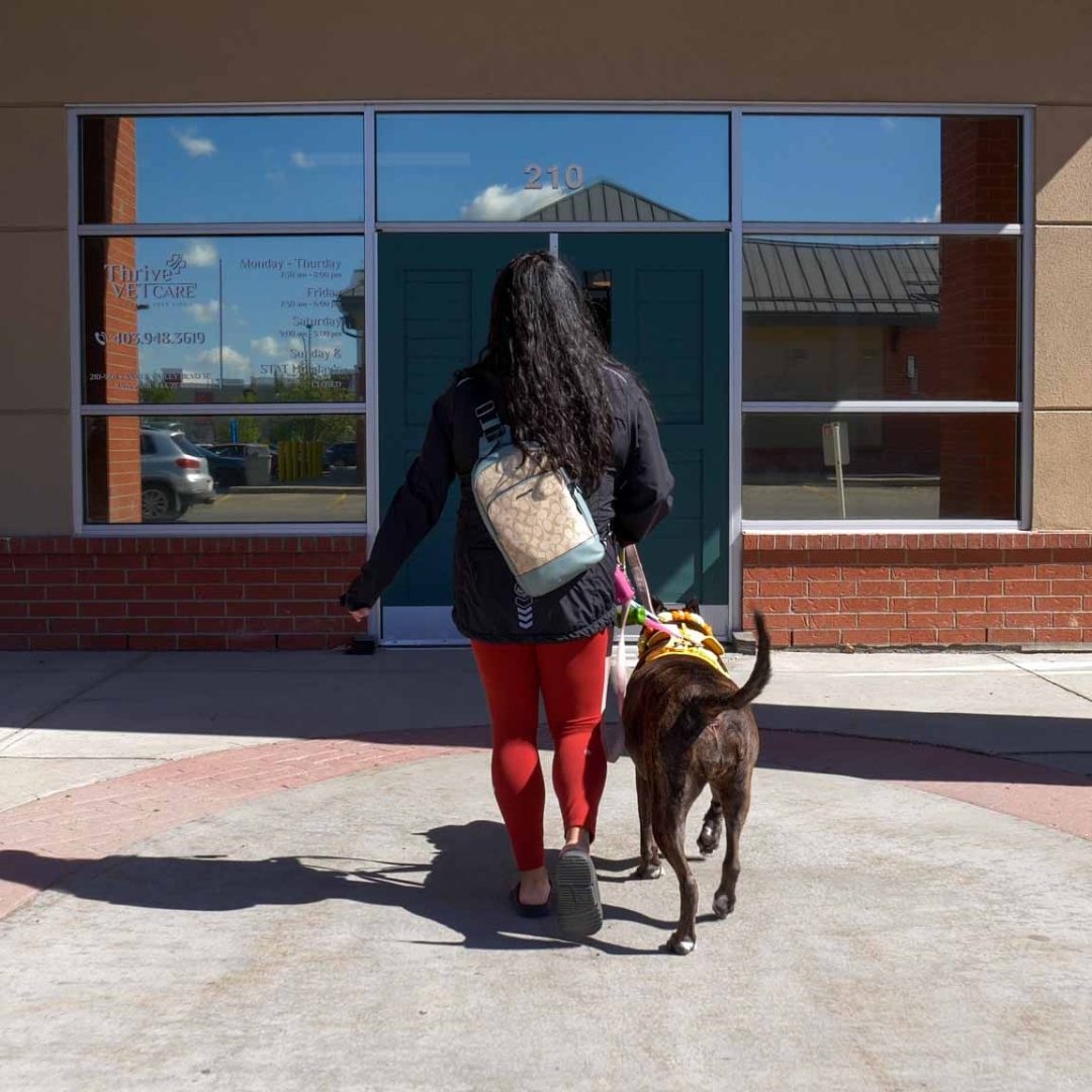 Thrive Vet Care, Airdrie Veterinarian 19