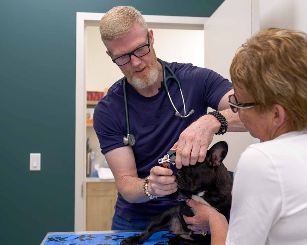 Thrive Vet Care, Airdrie Veterinarian 20