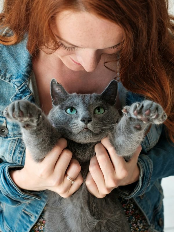 cheerful redhead girl plays with her blue cat
