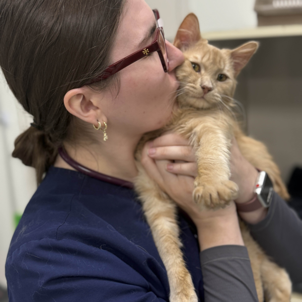 Taylor - Thrivet Care